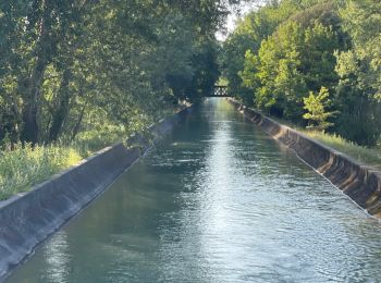 Trail Walking Lambesc - Nord et ouest LAMBESC - Photo