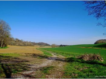 Trail Electric bike Pont-Sainte-Maxence - vers le mont Pagnotte - Photo