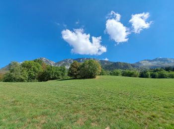 Excursión Senderismo Aillon-le-Vieux - col colombier - Photo