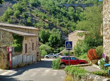 Tour Wandern Thorrenc - Le lac de vert - Photo