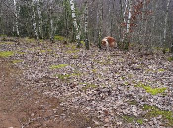 Tocht Stappen Differdange - fond de gras - Photo