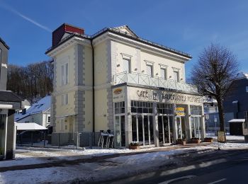 Tour Zu Fuß Balve - Verbindungsweg Balve - Stephanopel - Photo