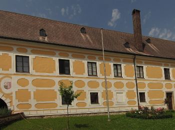 Randonnée A pied Gemeinde Großschönau - Wünschelrutenweg - Photo