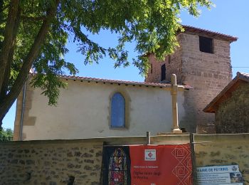 Tour Wandern Peyrins - peyrins st ange - Photo