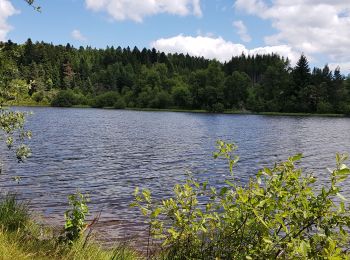 Tocht Fietstoerisme Saint-Bonnet-le-Bourg - 63 St Bonnet le Bourg - St Germain l herm  -etang de la Colombiere- Fournols et retour - Photo