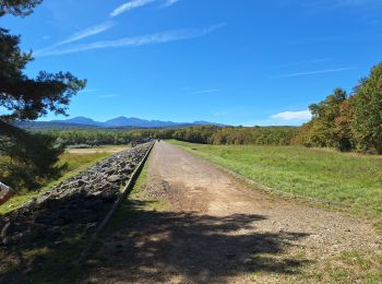 Trail Walking Montbel - Barage lac de Monbel - Photo