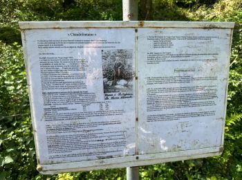 Percorso Marcia Vecoux - Chaudefontaine -grand lac- Chaudefontaine - Photo
