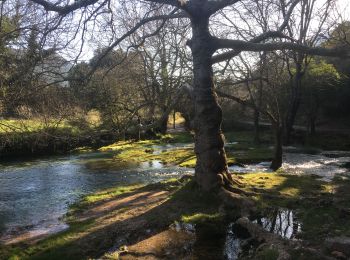 Randonnée Marche Pégairolles-de-Buèges - Cirque de la Seranne - Pegairolles-de-Buèges - Photo