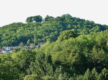 Tocht Te voet Göppingen - Göppingen-Hörnle - Photo