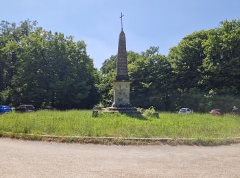 Percorso Marcia Saint-Léger-en-Yvelines - Yvelines_CroixVilpert=>CroixPather=> Haut-Planet=> St-Léger - Photo