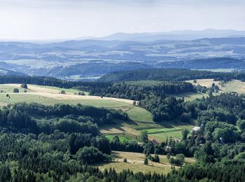 Percorso A piedi - Ścieżka Edukacyjna im. inż. Kazimierza Klimowicza - Photo