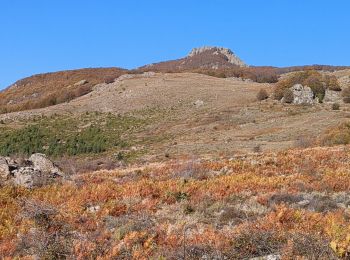 Tocht Stappen Cambia - San Pétrone boucle de Loriani - Photo