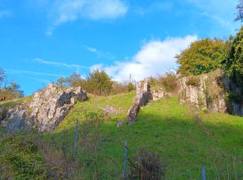 Trail Walking Modave - modave - clavier station, retour par la ligne 126 - Photo