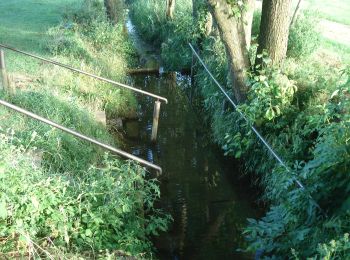 Trail On foot Wonfurt - Lauftour WON1 - Photo