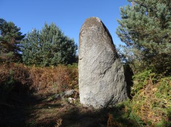 Percorso A piedi Saissac - Entre château et Rigole - Photo