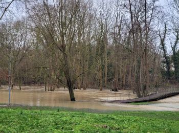 Percorso Marcia Yerres - Boucle autour de Yerres via Mandres / Boussy / Epinay - Photo