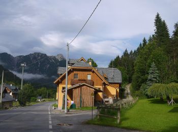 Trail On foot Tarvisio - IT-506 - Photo