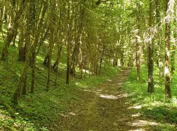 Tour Wandern Chaumont - Chaumont centre-Verbiesles-Ville aux bois-Chaumont - Photo