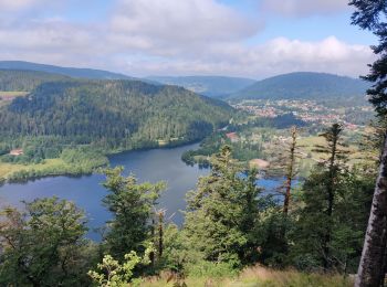 Randonnée Vélo électrique La Bresse - hohneck - granges - Photo