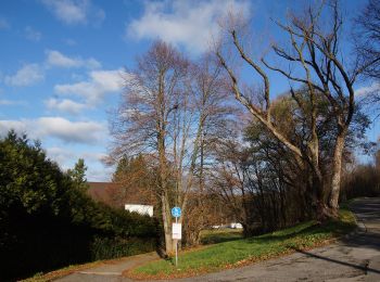 Randonnée A pied Neumarkt in der Oberpfalz - Graßahofer Rundweg - Photo