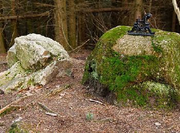 Tour Wandern Paslières - Paslieres_Marette_Roux - Photo