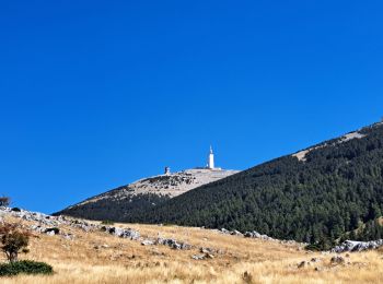 Randonnée Marche Beaumont-du-Ventoux - Mont ventoux par les grands près  - Photo