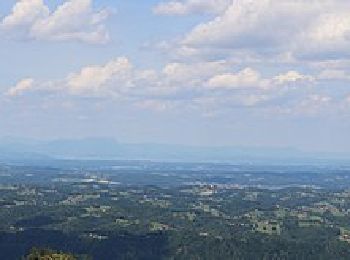 Excursión A pie Eibiswald - Pot po mejah občine - Photo