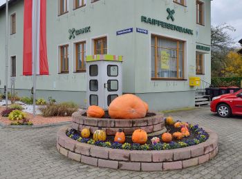 Tocht Te voet Gemeinde Hernstein - Grillenberg-Großer Rosenkogel - Photo