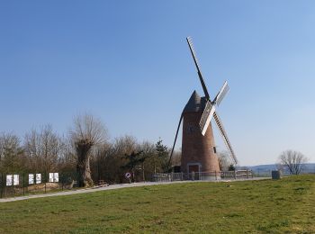 Tour Wandern Couvin - Balade à Couvin -Mariembourg Géronsart - Photo