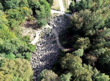 Randonnée A pied Lautertal - Rundwanderweg Felsenmeer 3: Großer Felsenmeer-Weg - Photo