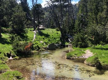 Randonnée Marche Réal - 20220601 Coll de Sansa - Photo