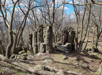 Tour Zu Fuß Liebeschitz - [Ž] Liběšice - Sedlo (pod vrcholem) - Photo