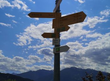 Tour Nordic Walking Ayent - Anzère - Botyre  - Photo