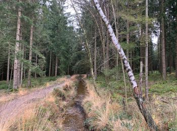 Tocht Te voet Roetgen - Hahner Straße Rundweg A2 - Photo