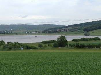 Tocht Te voet Büdingen - Büdingen-Stockheim Weg - Photo