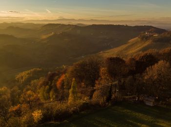 Tocht Te voet Ehrenhausen an der Weinstraße - Natur-Kultur-Archäologie-Weg - Photo