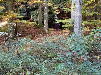 Trail Walking Beaufort - Beaufort - Photo