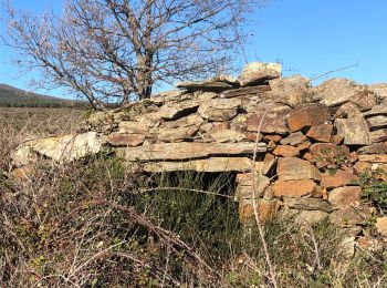 Tour Wandern Prades - Prades-Catllar -Llugols  - Photo