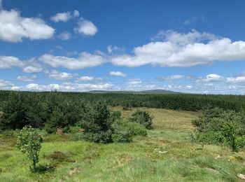 Tour Mountainbike Bard - Pierre sur Haute - Photo