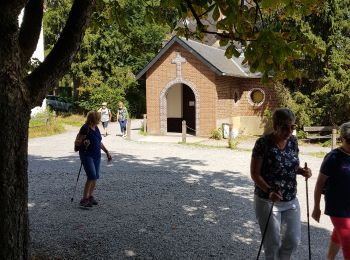 Tocht Stappen Eigenbrakel - Paudure_Noucelles_Colipain_0820 - Photo