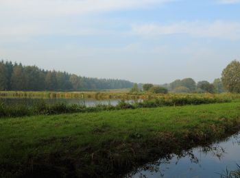 Randonnée A pied Großenkneten - Heidegrashüpfer Rad-Wander-Weg - Photo