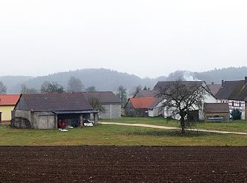 Excursión A pie Betzenstein - Rundweg Illafeld - Photo