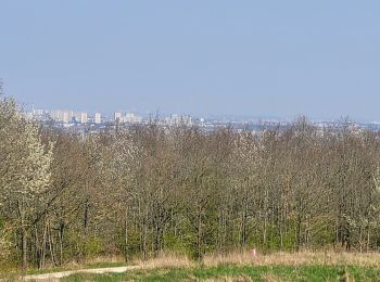 Percorso Marcia Verrières-le-Buisson - Boucle autour de Verrières le Buisson - Photo