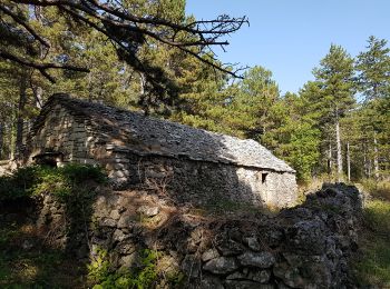 Excursión Marcha nórdica Saint-Pierre-de-la-Fage - SityTrail - 2552727 - st-pierre-de-la-fage---bergerie-de-courcol - Photo