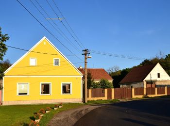 Randonnée A pied Kadaň - NS Úhošť - Photo