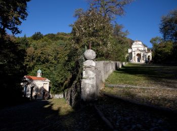 Percorso A piedi Varese - Via Verde Varesina tappa 2 - Photo