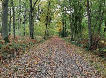 Randonnée Marche Valailles - Autour de Valailles - Photo