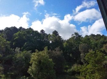 Excursión A pie Chianni - Grande Percorso Naturalistico - Photo