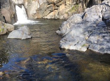 Tour Wandern Prades - 20220403 Cascade Catllar-boucle - Photo