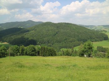 Tour Zu Fuß Semriach - R9 Eichberg-Lurgrotte-Rundweg - Photo